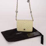 Chanel 2020 Pistachio Caviar Camellia Embossed Belt Bag