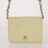 Chanel 2020 Pistachio Caviar Camellia Embossed Belt Bag