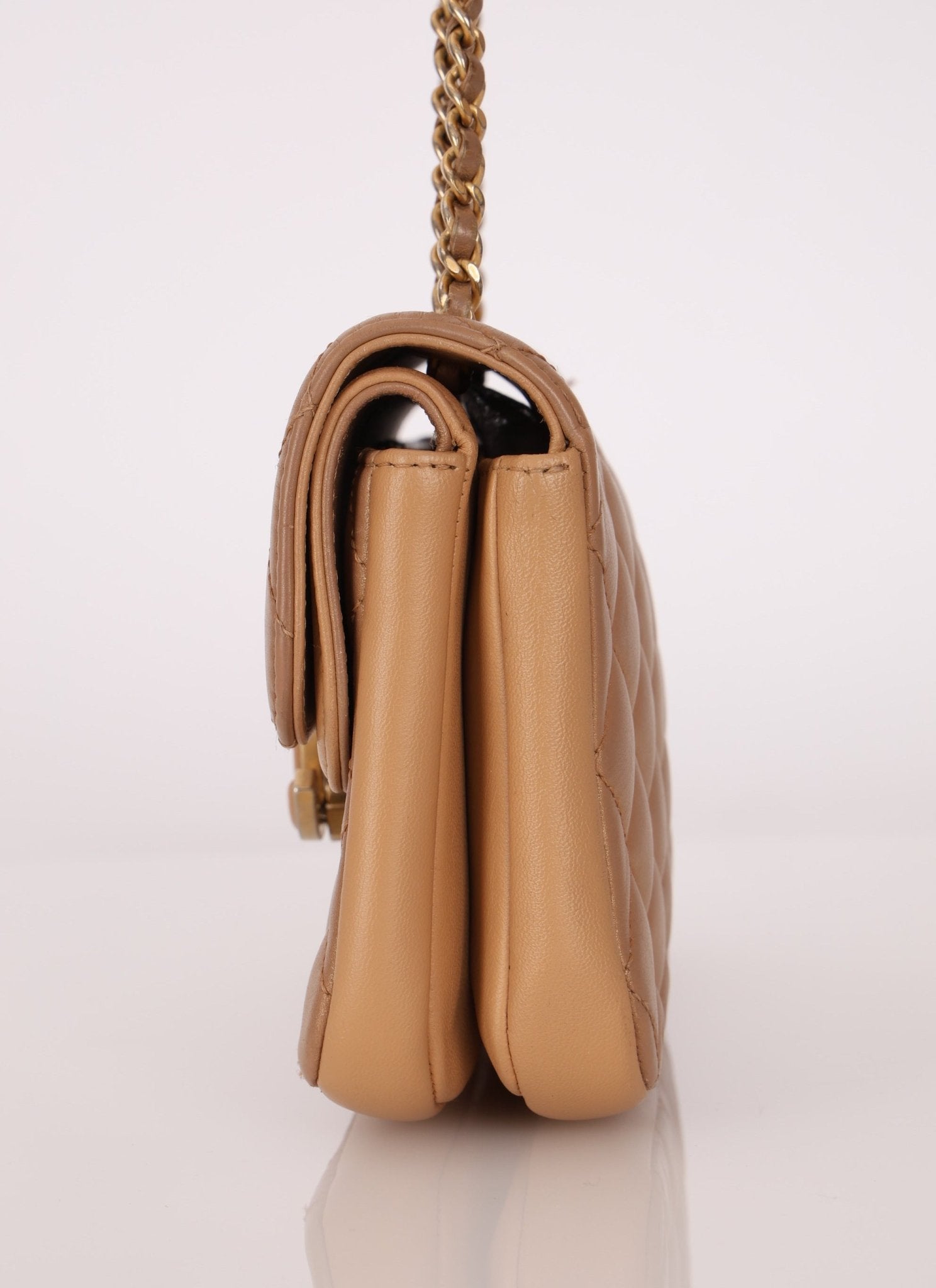 Chanel 2019 Chanel Iridescent CC Chic Small Flap Bag - FashioNica