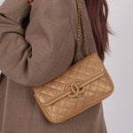 Chanel 2019 Chanel Iridescent CC Chic Small Flap Bag - FashioNica