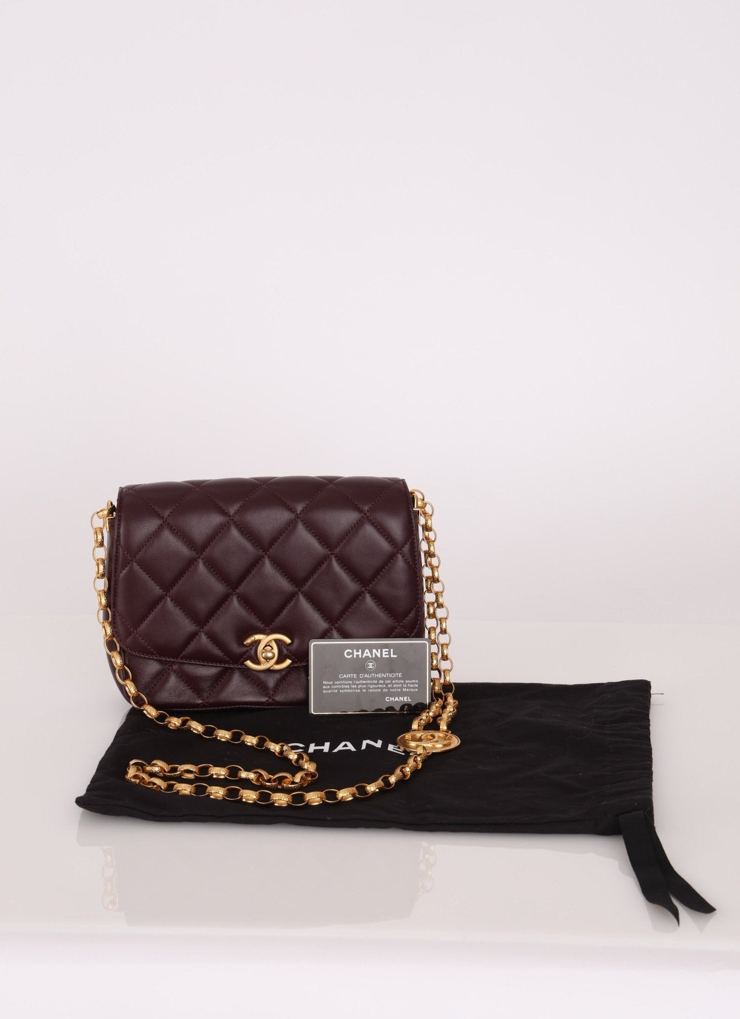 Chanel 2020 Lambskin Coin Bijoux Chain Flap Bag - FashioNica