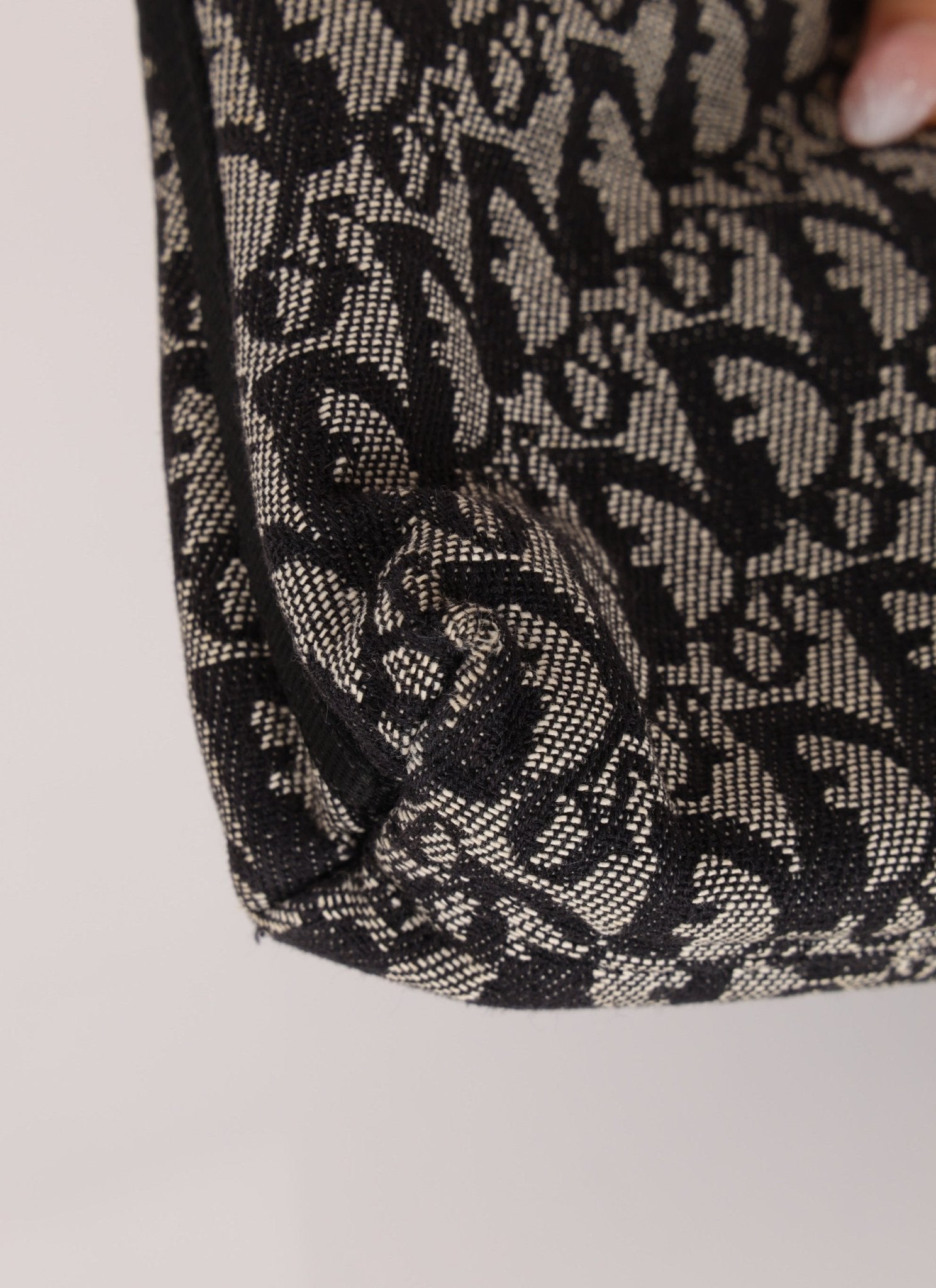 Dior 2003 Trotter Pochette - FashioNica