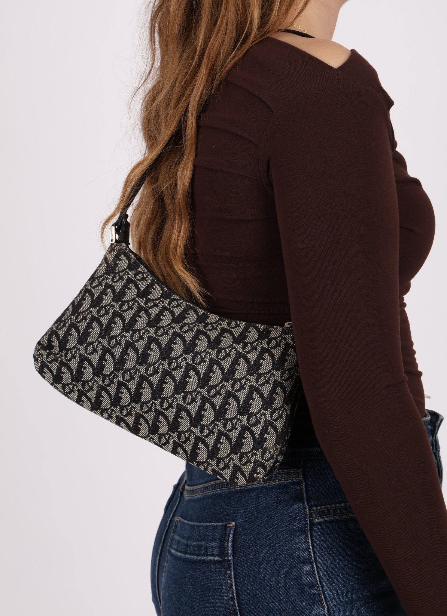 Dior 2003 Trotter Pochette - FashioNica