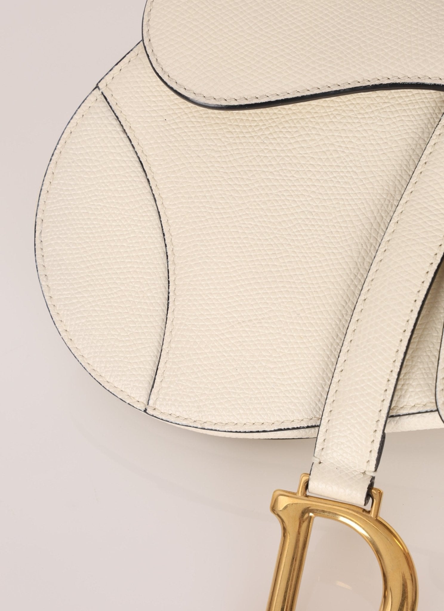 Dior Grained Calfskin Mini Saddle w/ Guitar Strap - FashioNica