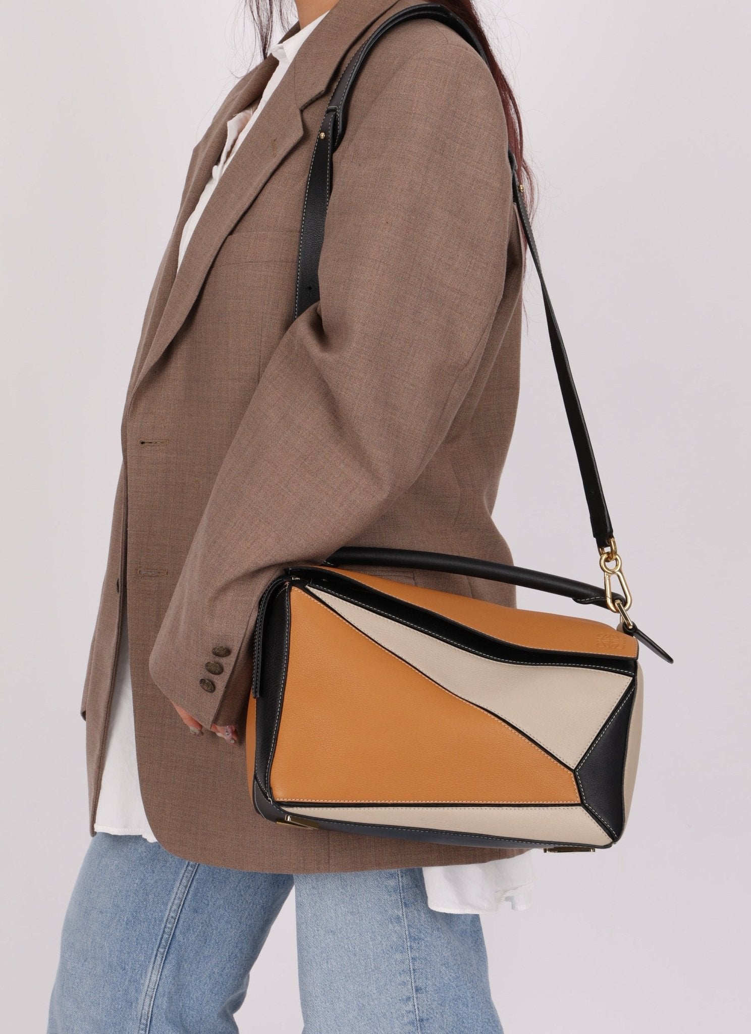 Loewe Calfskin Tricolor Medium Puzzle - FashioNica