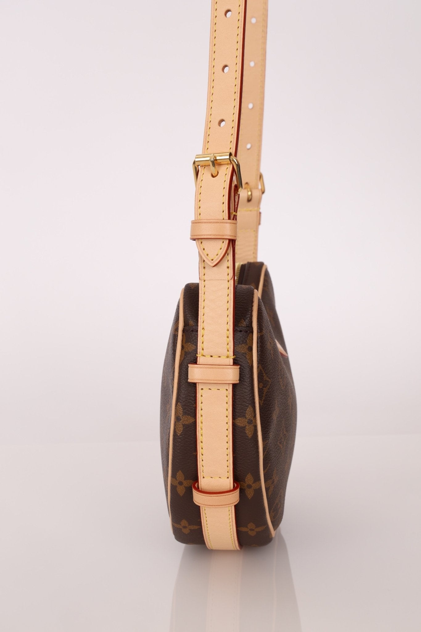 Louis Vuitton Monogram Croissant PM w/ Micro Croissant - FashioNica