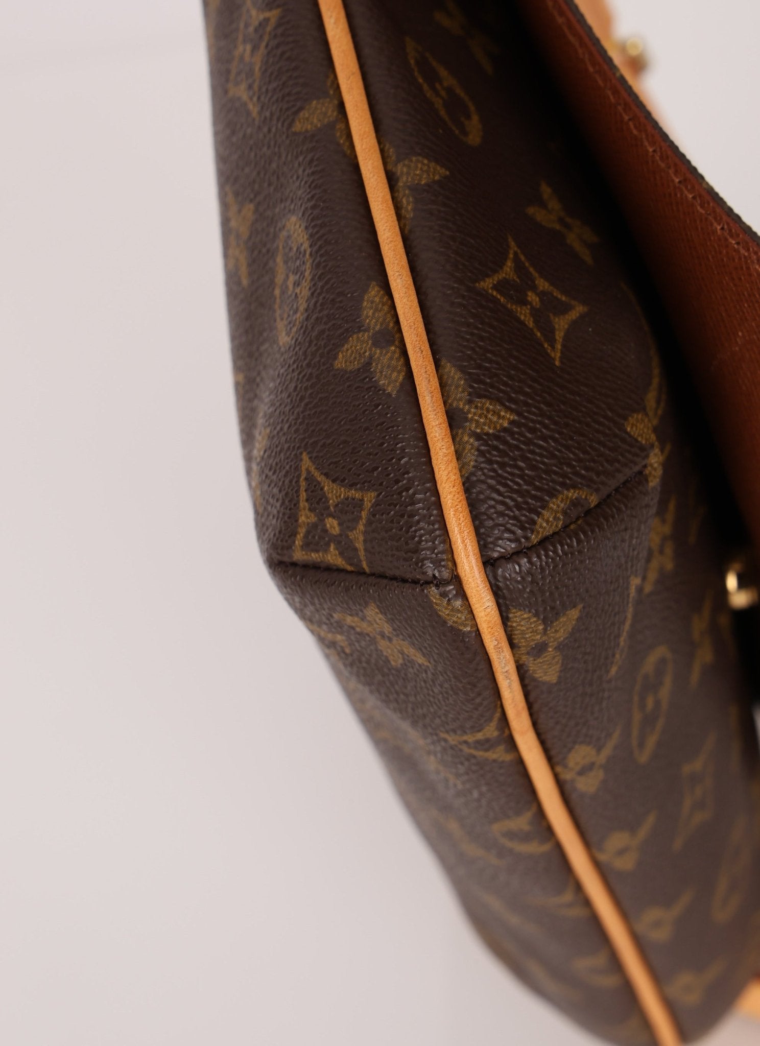 Louis Vuitton Monogram Musette Tango - FashioNica