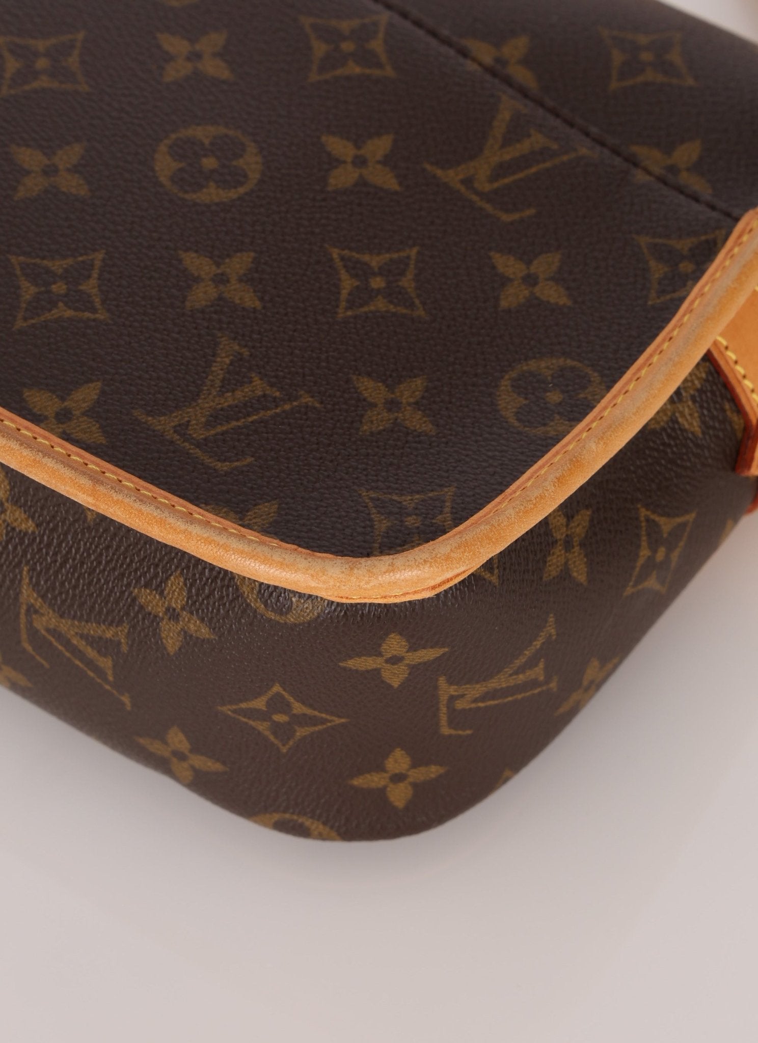 Louis Vuitton Monogram Sologne Crossbody - FashioNica