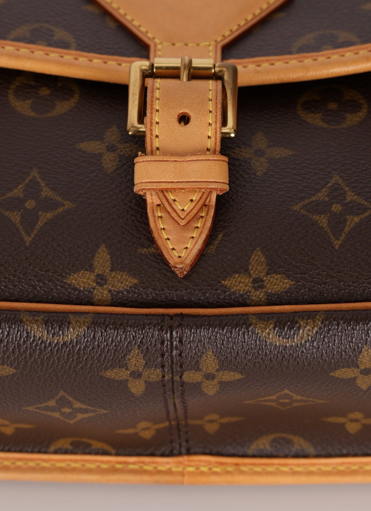 Louis Vuitton Monogram Sologne Crossbody - FashioNica
