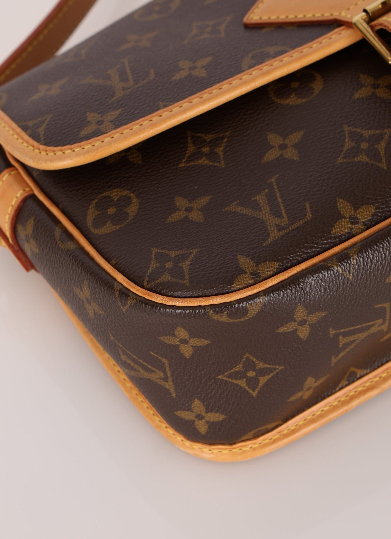 Louis Vuitton Monogram Sologne Crossbody - FashioNica