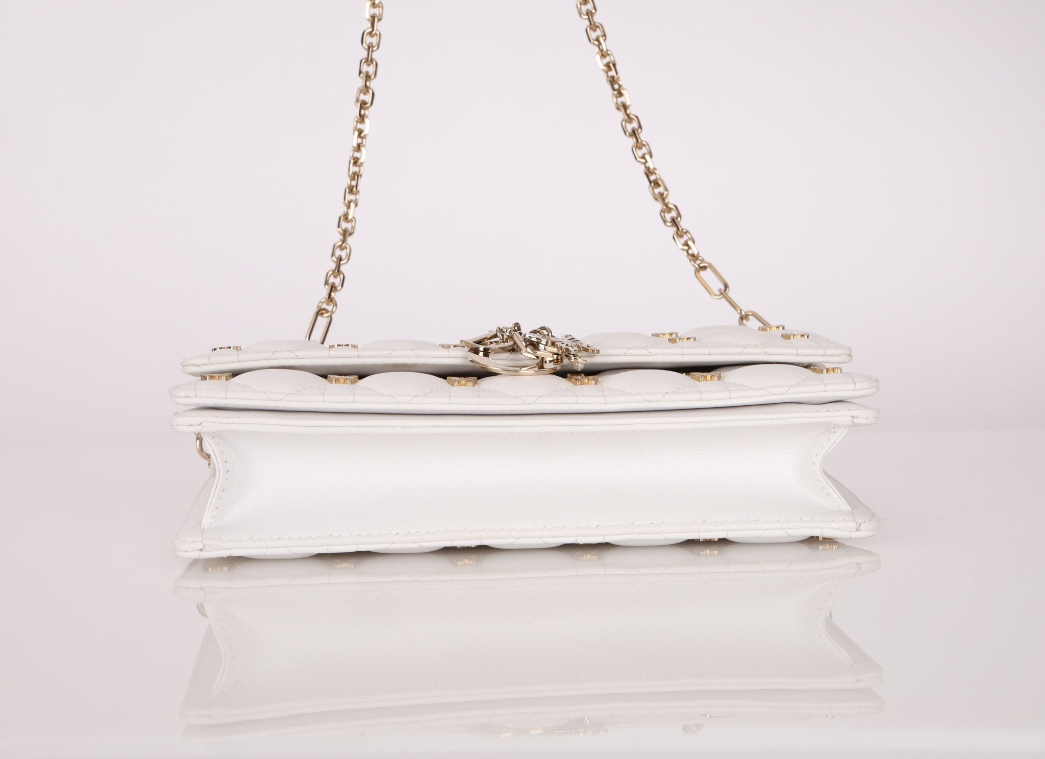 Rare Dior 2023 Cannage Miss Dior Top Handle Butterfly Bag - FashioNica