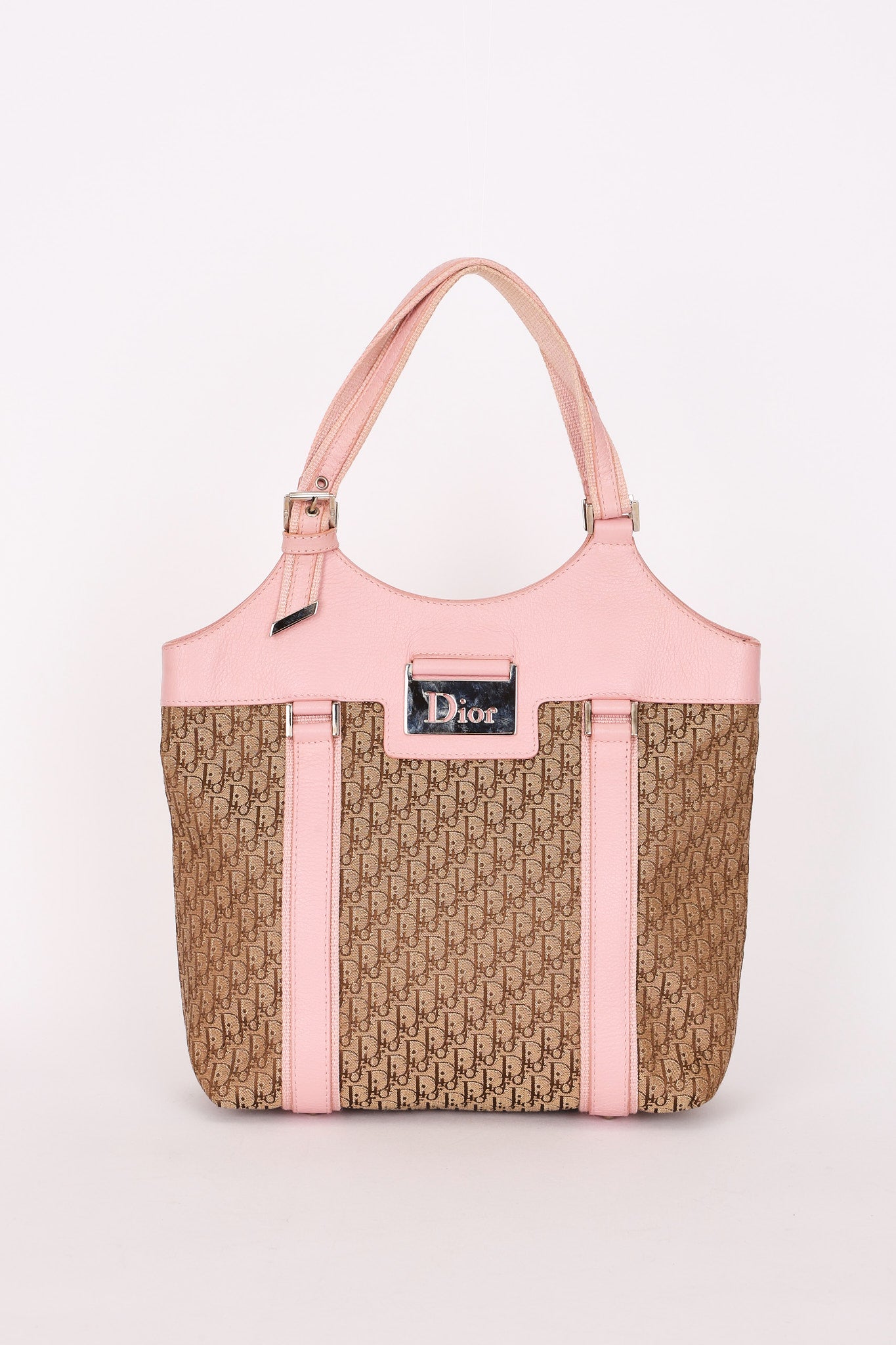 DIOR Trotter Handbag