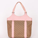 DIOR Trotter Handbag