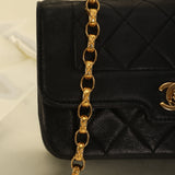 Chanel Lambskin Bijoux Mini Diana