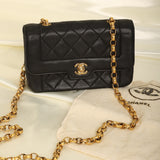 Chanel Lambskin Bijoux Mini Diana