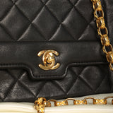 Chanel Lambskin Bijoux Mini Diana