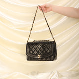 Chanel Lambskin Medium Diana