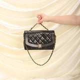 Chanel Lambskin Medium Diana