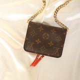 Louis Vuitton Wallet on Chain