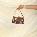 Louis Vuitton x Takashi Murakami Pochette
