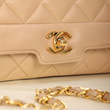 Chanel Lambskin Medium Diana