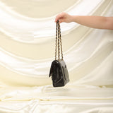 Chanel Lambskin Medium Double Flap