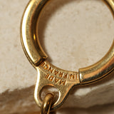 Louis Vuitton Clasp and Key Ring