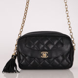 Rare Chanel 2019 Lambskin Bijoux Diana Camera Bag