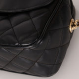 Rare Chanel 2019 Lambskin Bijoux Diana Camera Bag