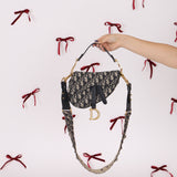 Dior Oblique Mini Saddle w/ Embellished Strap