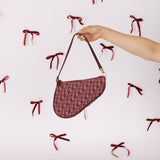 Dior 2002 Red Trotter Saddle Pochette