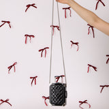 Rare Chanel 2016 Evening in the Air Trolley Plexiglass & Patent Minaudiere