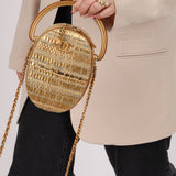 Ultra-Rare Chanel 19A Metallic Tweed & Sequin Paris-Egypt Camera Case