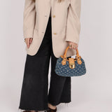Louis Vuitton Monogram Denim Pleaty