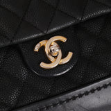 Chanel 2013 Caviar Globe Trotter Medium Flap Bag