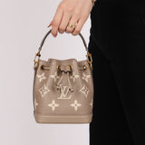 Louis Vuitton Monogram Leather Nano Noe
