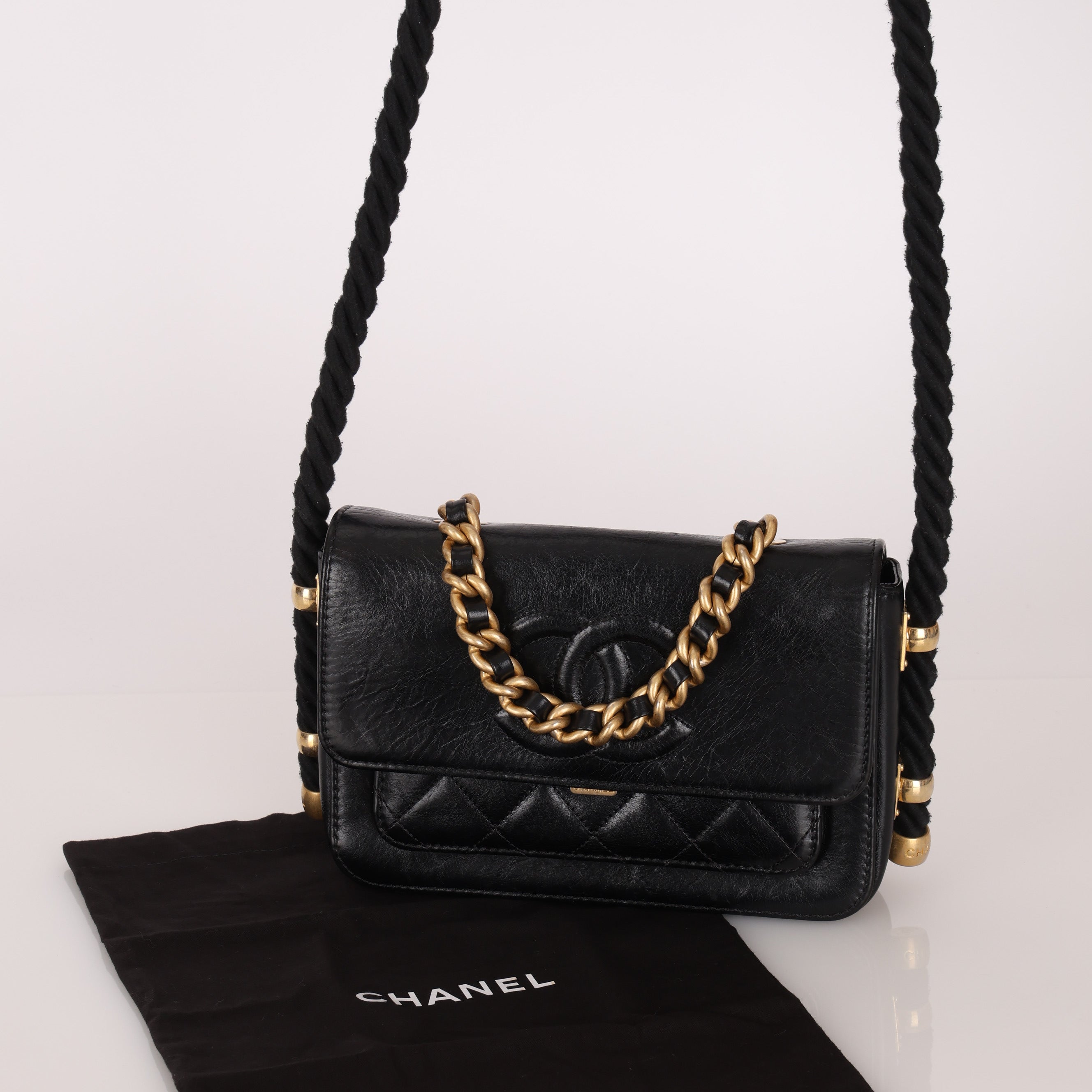 Chanel 2019 En Vogue Flap Bag