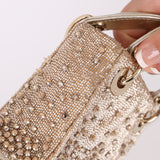 Dior Crystal Beaded Micro Lady