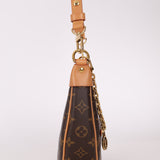 Louis Vuitton Monogram Loop Crossbody