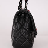 Ultra-Rare Chanel 2011 Lambskin Ladybug Medium Classic Flap Bag
