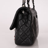 Ultra-Rare Chanel 2011 Lambskin Ladybug Medium Classic Flap Bag