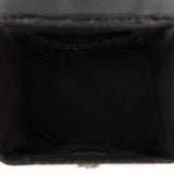 Dior Trotter Street Chic Vanity Bag