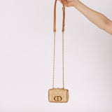 Dior 2021 Raffia Micro Caro Bag