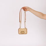 Dior 2021 Raffia Micro Caro Bag