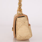 Dior 2021 Raffia Micro Caro Bag