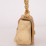 Dior 2021 Raffia Micro Caro Bag