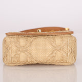 Dior 2021 Raffia Micro Caro Bag