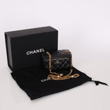 Chanel 2022 Pearl & Enamel Charm Vanity Crossbody