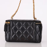 Chanel 2022 Pearl & Enamel Charm Vanity Crossbody