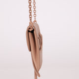 Dior Saddle Matte Cardholder on Chain